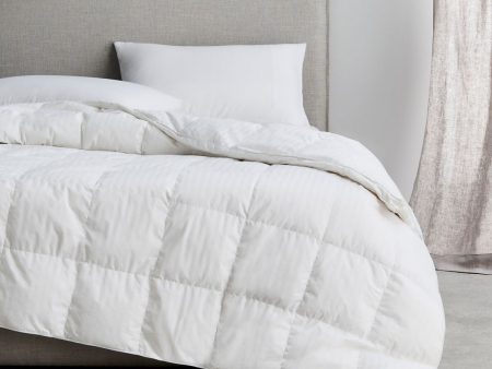 Deluxe Feather & Down Quilt by Sheridan Sale