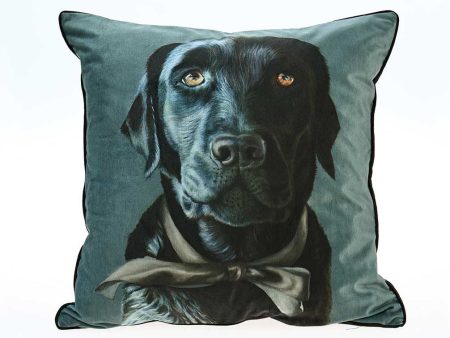 Baghie The Lab Cushion 50 x50cm by MM Linen Online Sale