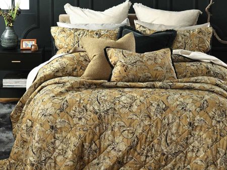 Dijon Coverlet Set by MM Linen For Discount