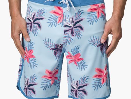 Robbie Boardshort 19  Online Sale