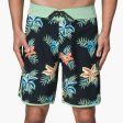 Robbie Boardshort 19  Cheap