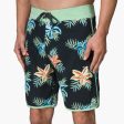 Robbie Boardshort 19  Cheap