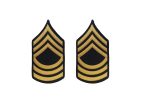 U.S. Army E8 Master Sergeant Gold on Blue Sew-on - Male (Large) on Sale