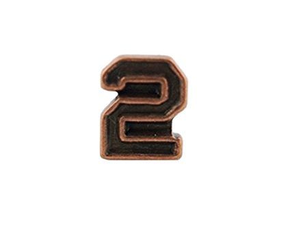 US Army Numeral 2 3 16in Bronze Ribbon Device For Sale