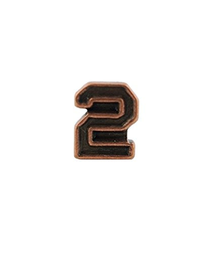 US Army Numeral 2 3 16in Bronze Ribbon Device For Sale