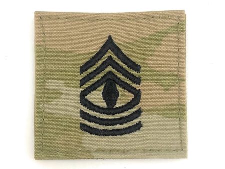 US Army E8 First Sergeant OCP with Hook Fastener Online now