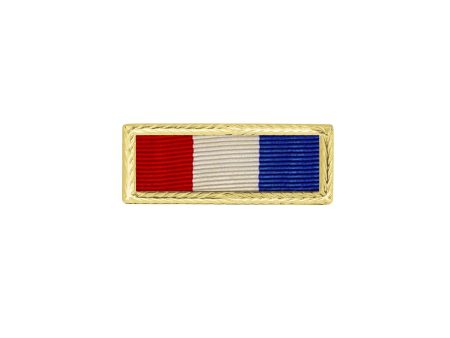 U.S. Army Philippine Presidential Unit Citation With Sta-Brite® Frame Cheap