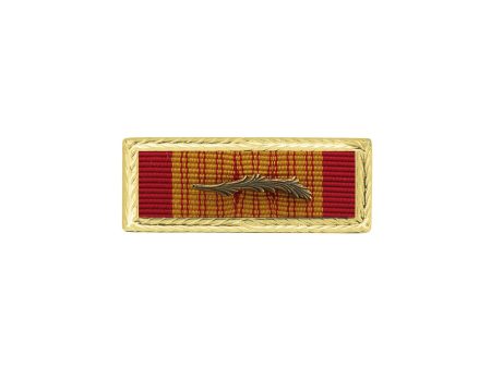 U.S. Army Vietnam Gallantry Cross W  Bronze Palm Unit Citation With STA-BRITE® Frame Sale