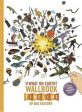 The What on Earth? Wallbook Timeline of Big History: The Incredible Story of Planet Earth from the Big Bang to the Present Day on Sale